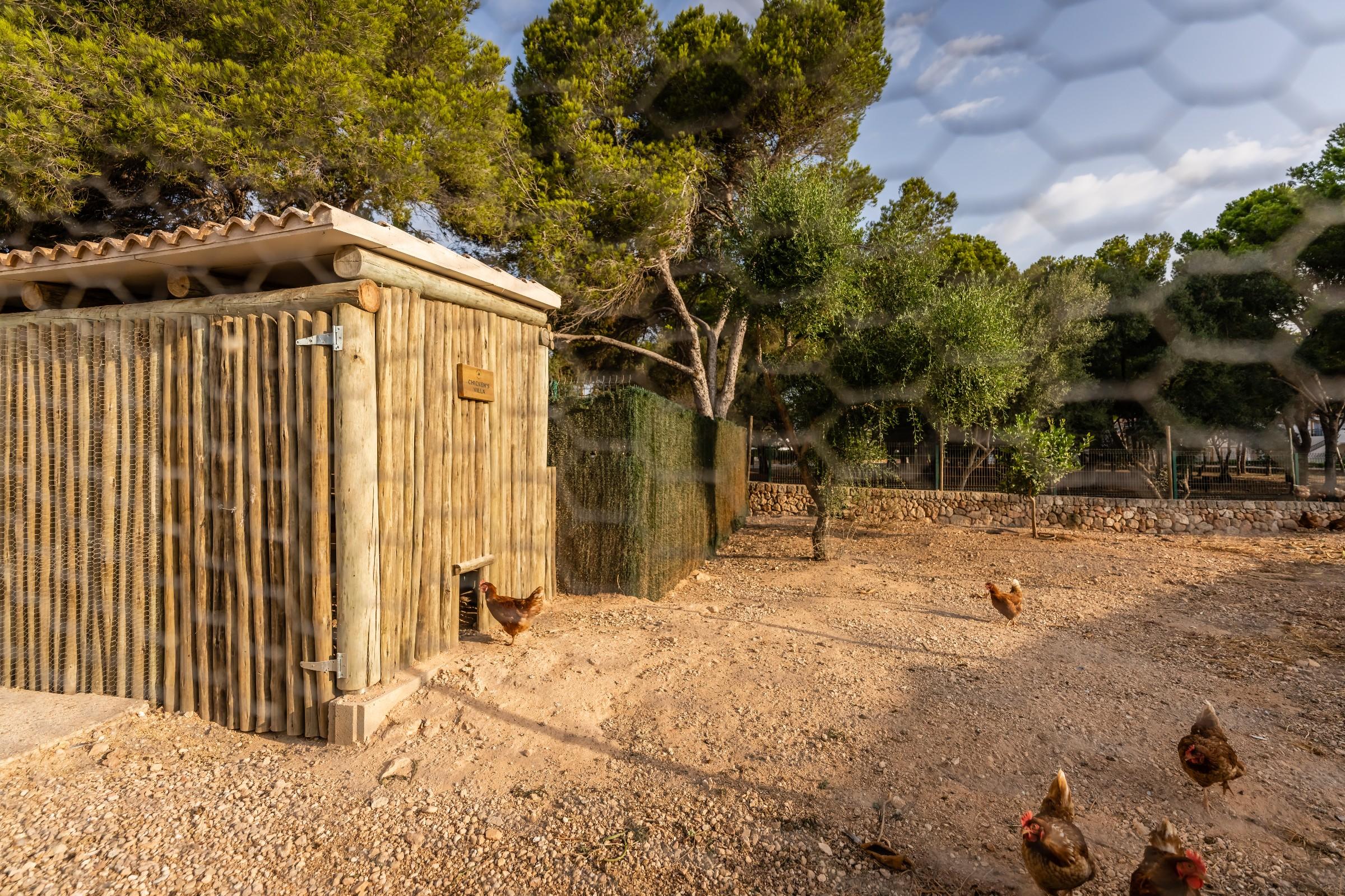 Lago Resort Menorca - Villas&Bungalows del Lago Cala'N Bosch  Exterior foto